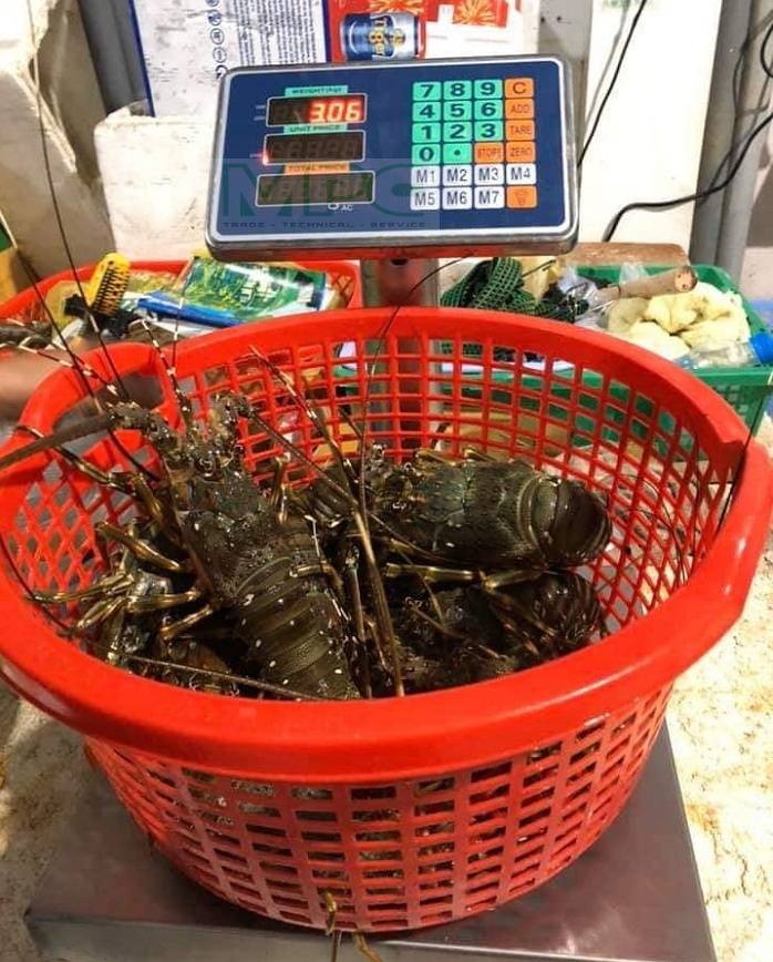 Cân thủy sản tính tiền